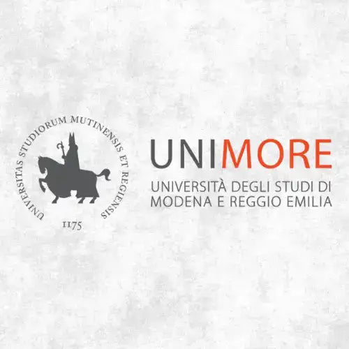 Il logo dell'università di modena e reggio emilia, con una sagoma nera di st.